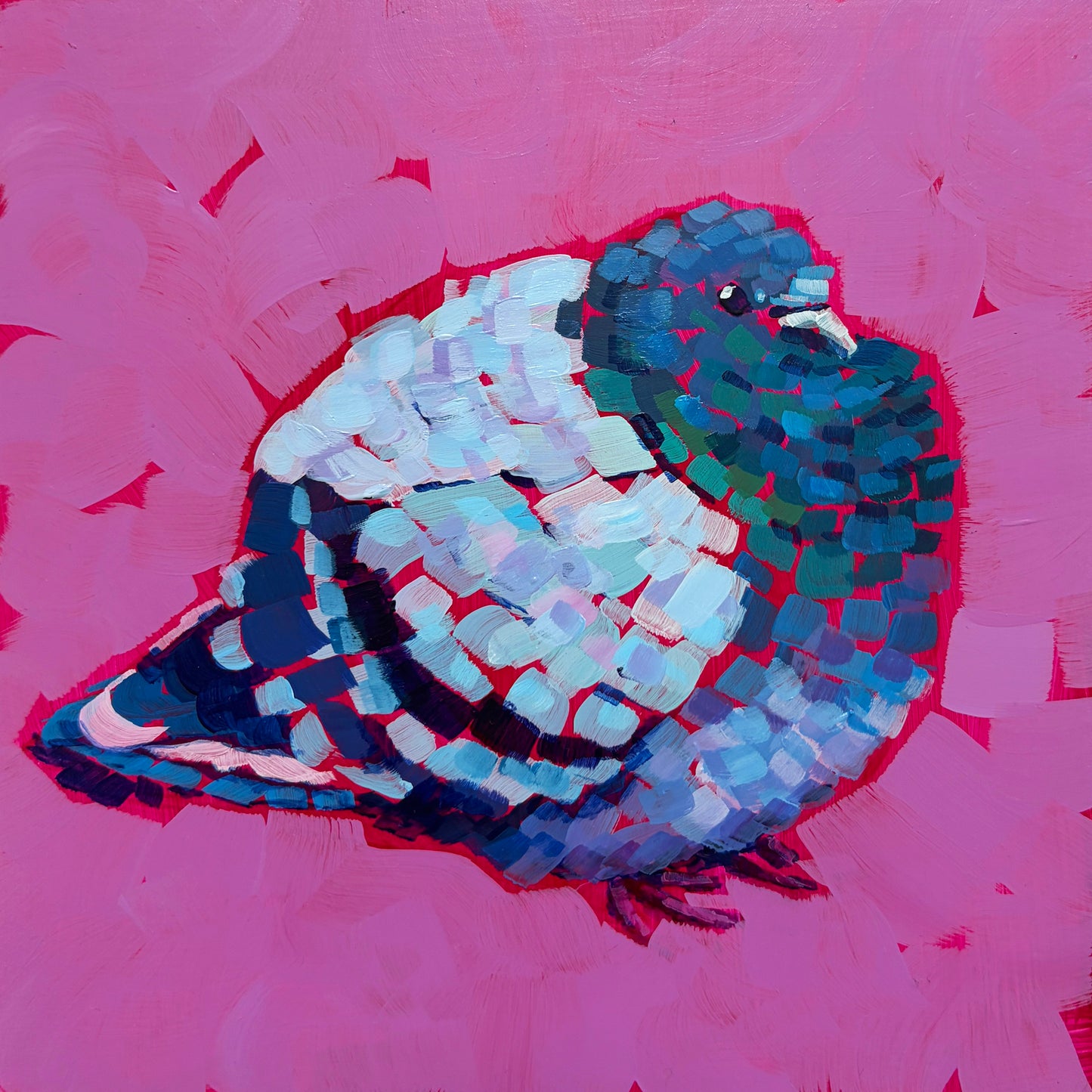 Pigeon Print
