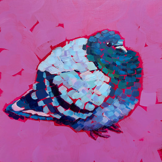 Pigeon Print